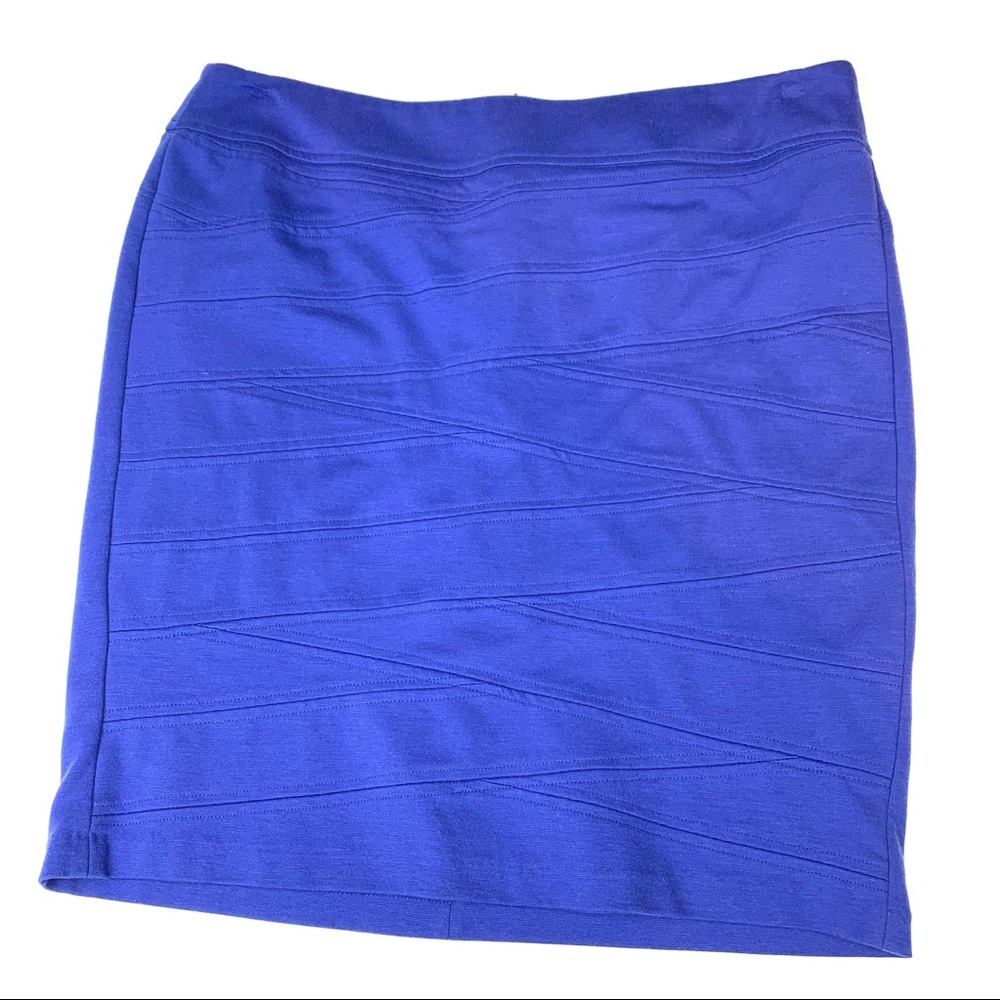 Sofia by Sofia Vergara blue Skirt Size XL